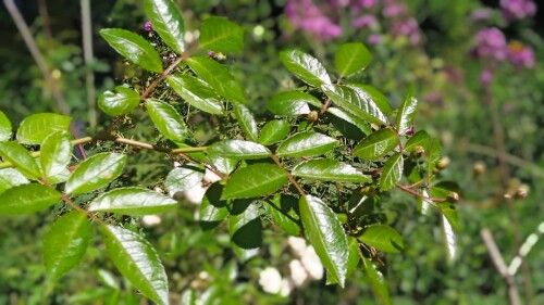 23-Aug-28b712c667d9caaef.jpg